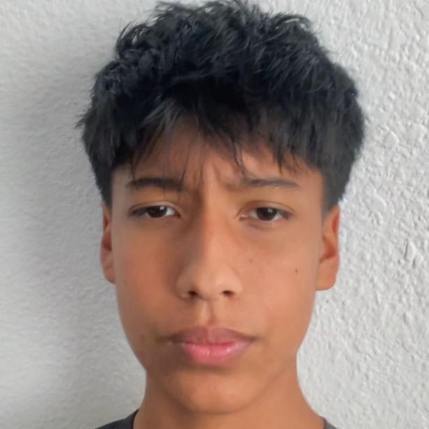 User Image
