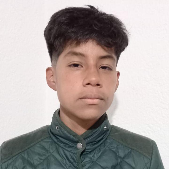 User Image