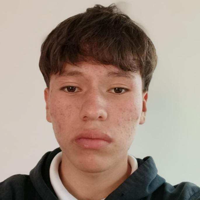 User Image